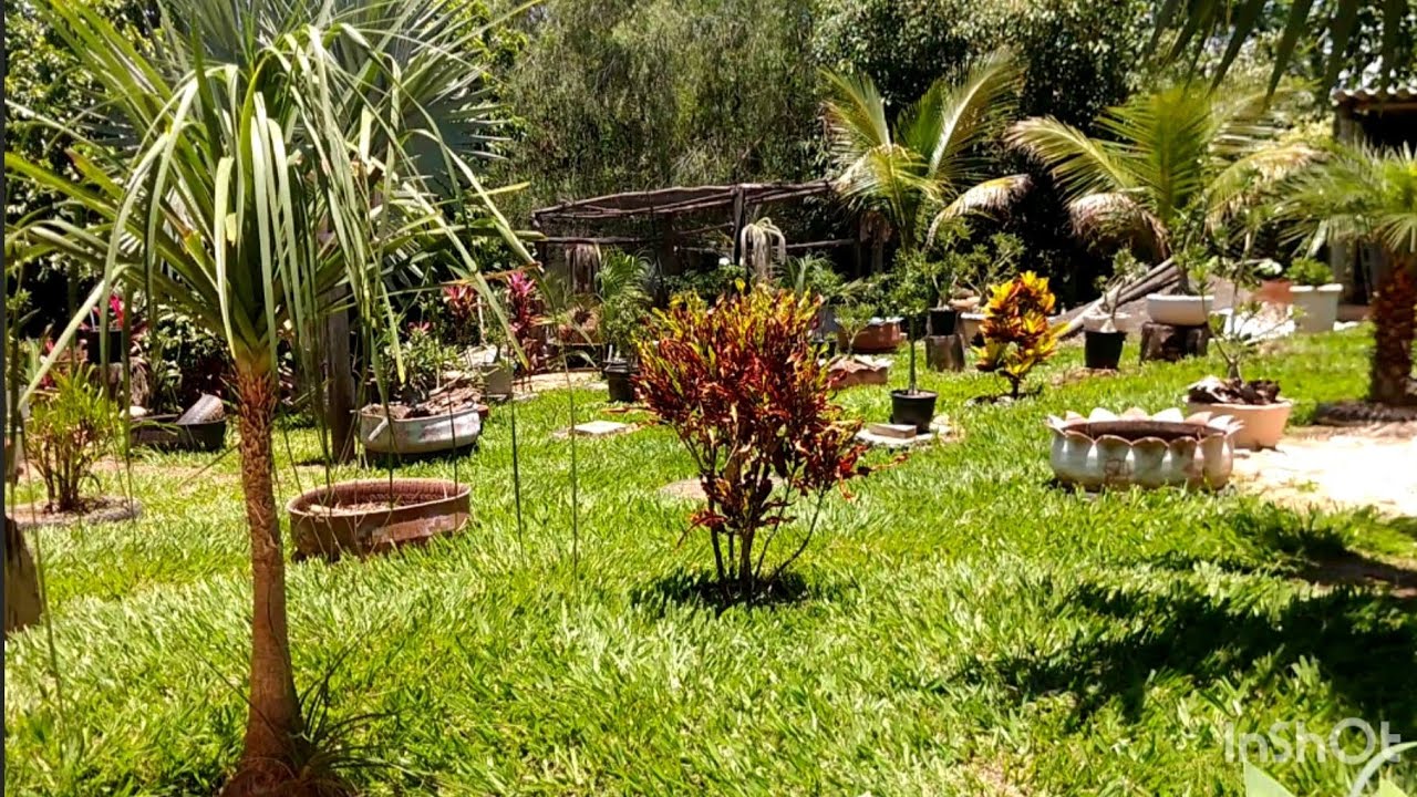 TOUR pelo jardim 