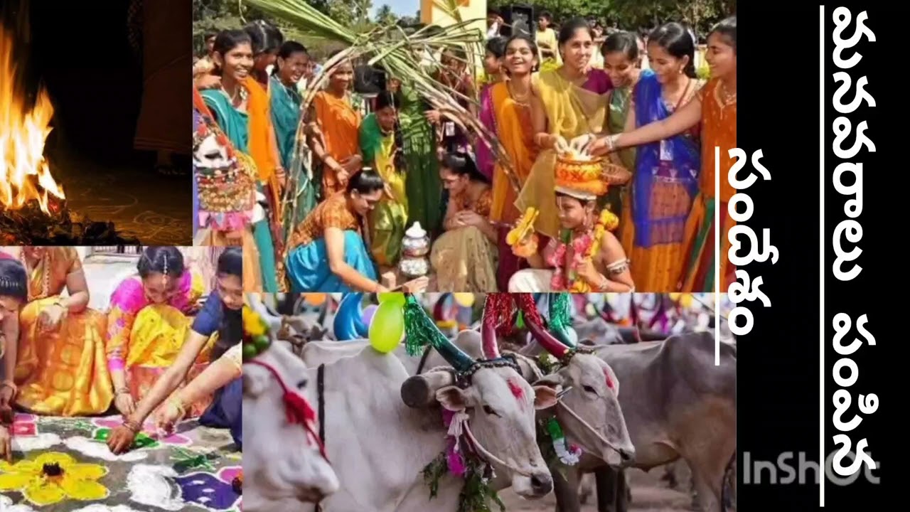 మనవరాలు పంపిన సందేశం /ఈతరం అమ్మాయి పంపిన చక్కని సందేశం /#heart tuching story