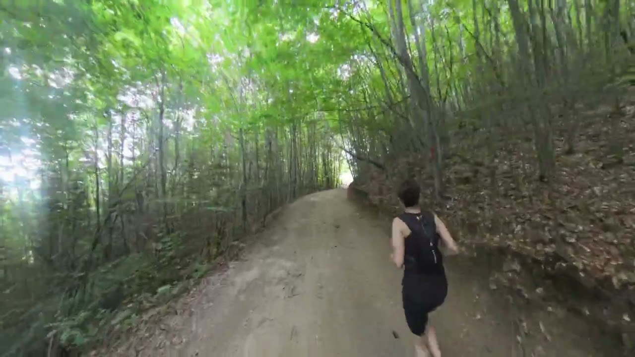 Terra Borza Teutonica - Zarnesti Bran