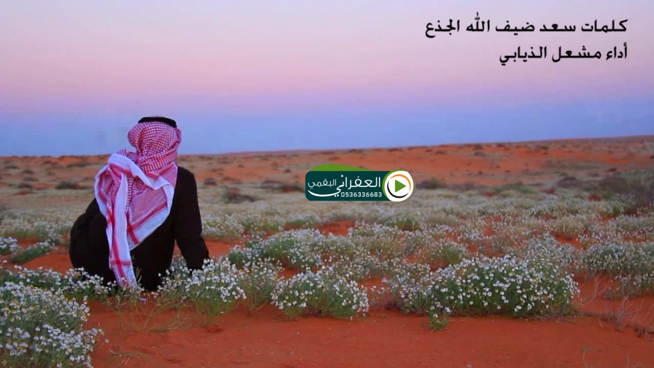 شيلة يابنت ياللي غرامك مثرن فيه كلمات الشاعر سعد بن ضيف الله الجذع ادا المنشد مشعل الذيابي