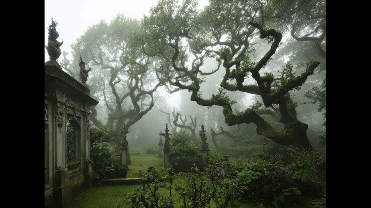 (free) seventhirtyatmorning + southsidesilhouette type beat 