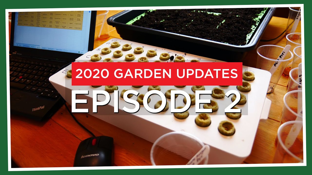 Chilli Seeds getting planted! (2020.E02 Garden Updates)