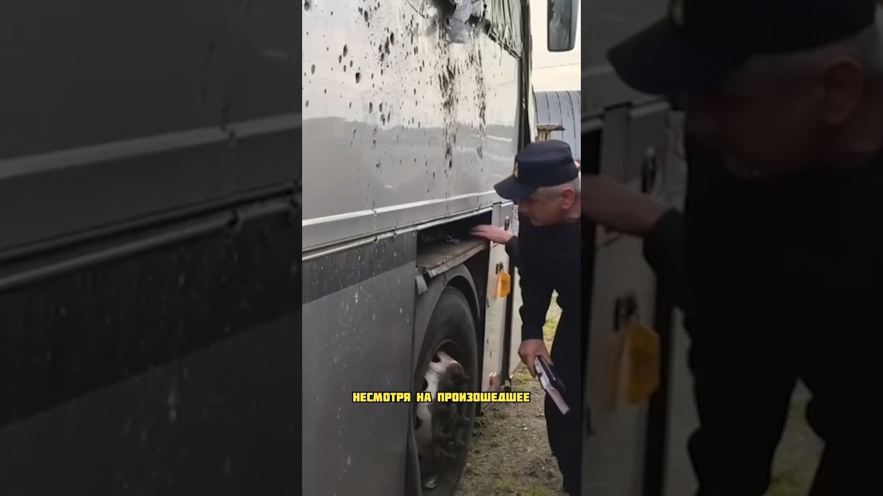 В Беларуси продолжают раздавать путевки на юг России и даже в оккупированный Крым #новости #беларусь