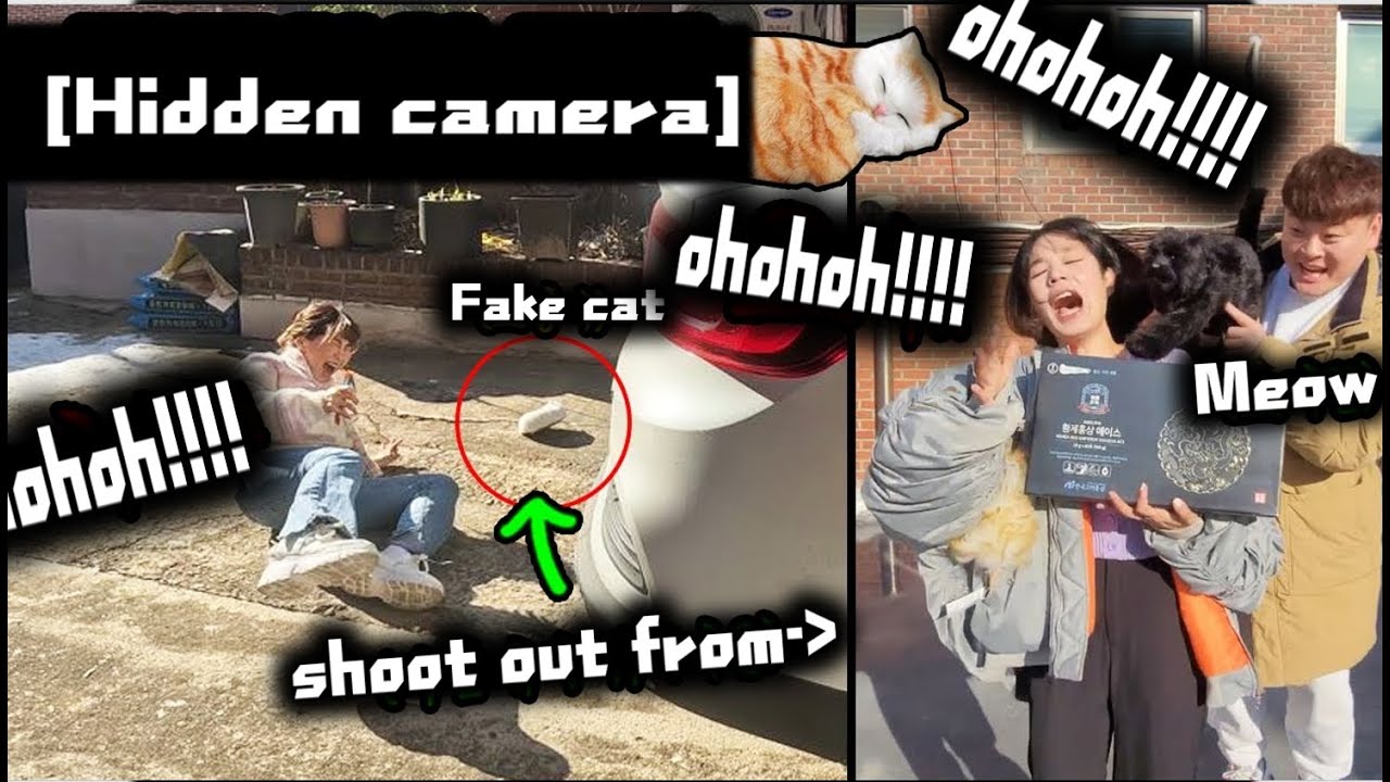 [Hidden camera] If a street cat doesn't come out of the car and surprises you!?