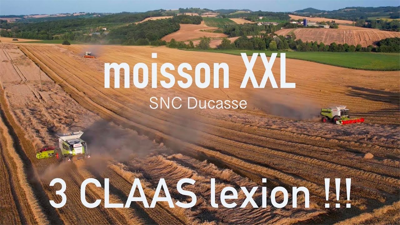 Les 3 Lexion de la SNC Ducasse &agrave; la Moisson 2023 | XXL Wheat Harvest 2023 | Claas Lexion 8700 & 6900