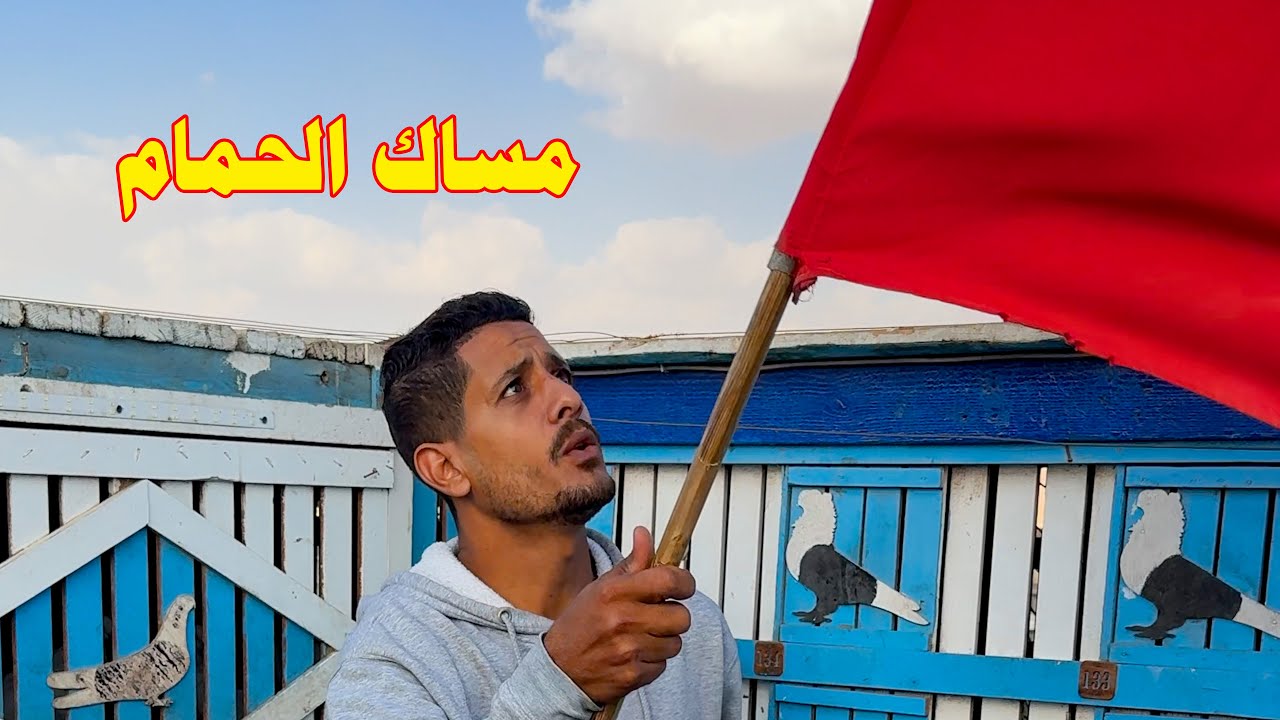 بيمسك حمام الجيران ويقولهم مشفتوش لسبب غريب