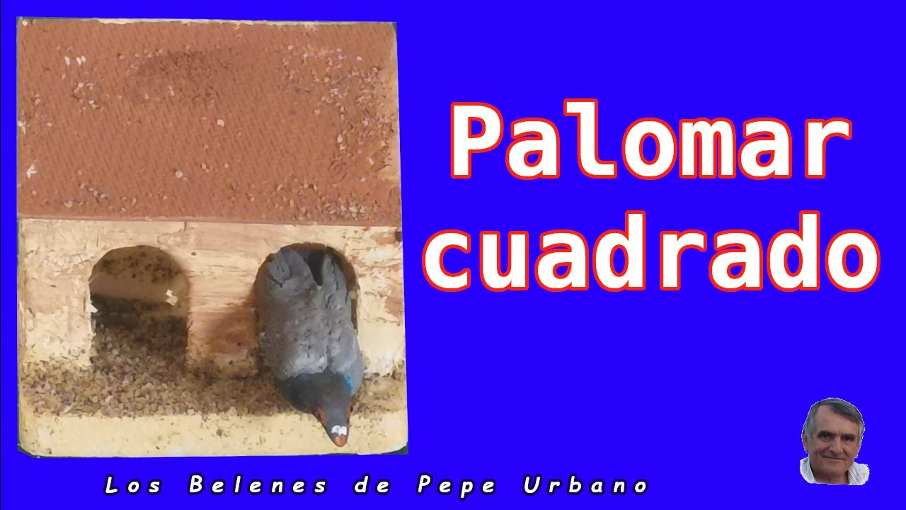 Palomar cuadrado