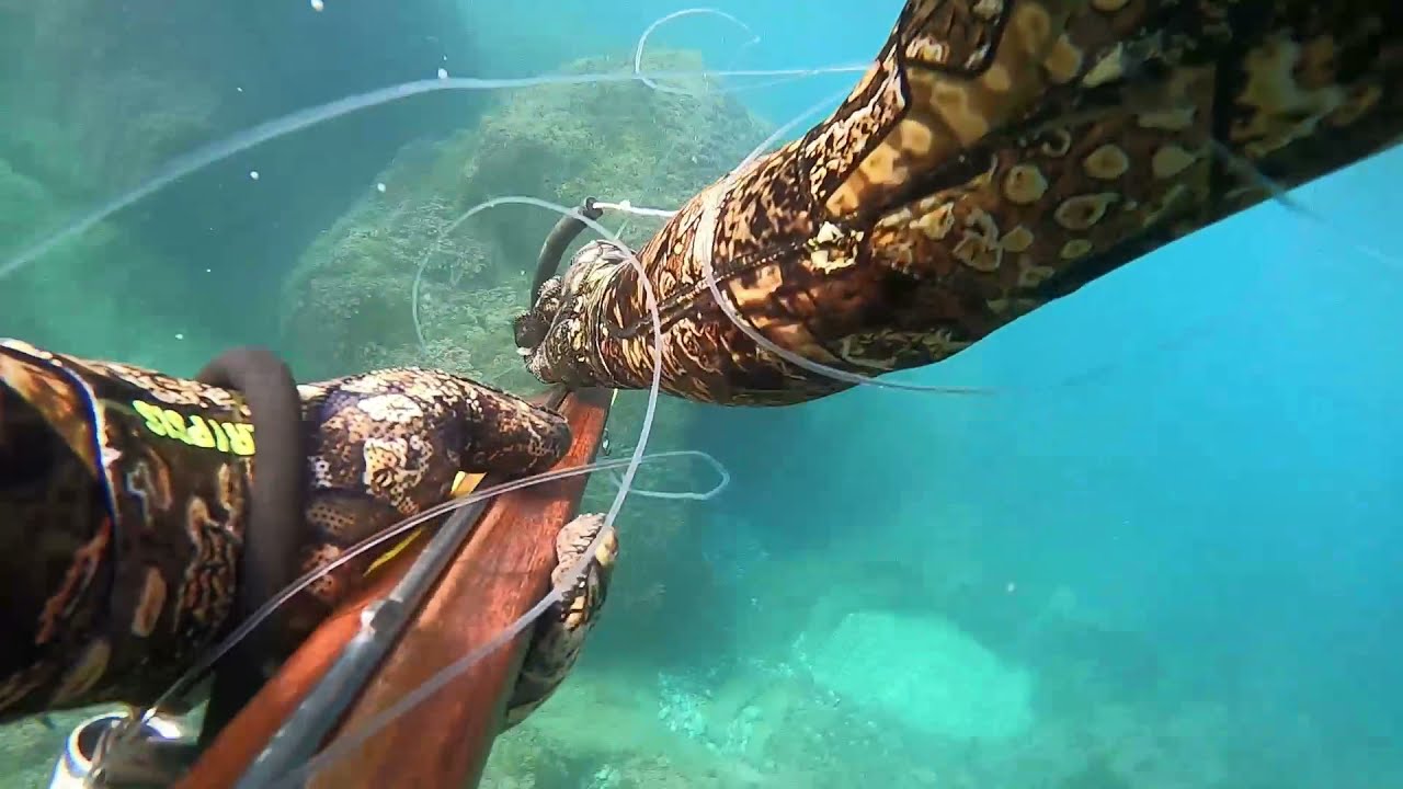 PESCA SUBMARINA. pescando a poca profundidad. lizas, m&uacute;joles, lisas #spearfishing2021#pescasub2021