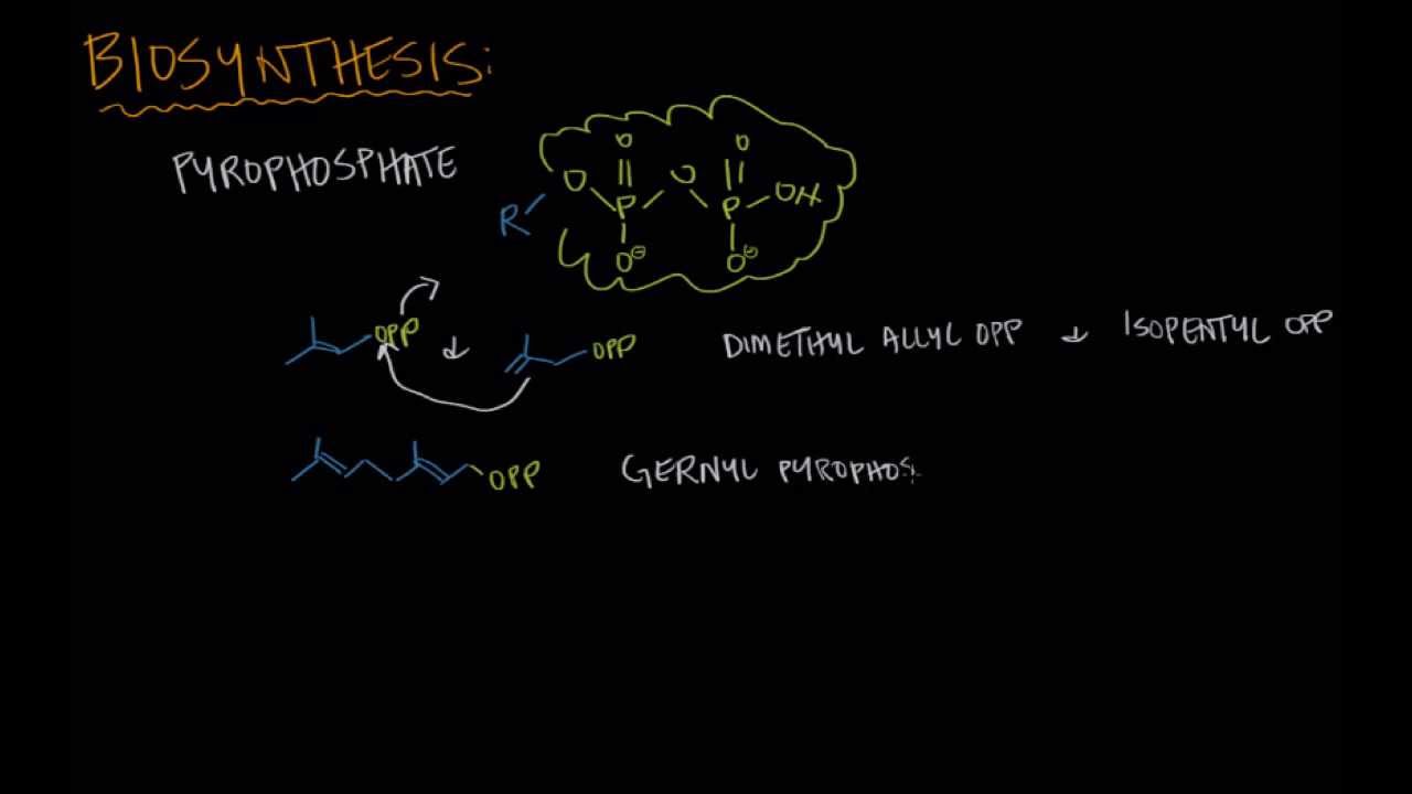 From terpenes to steroids part 1: Terpenes