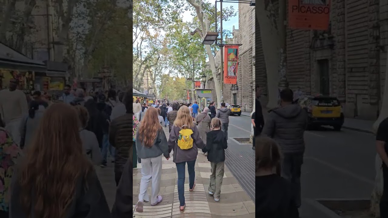  Famous La Rambla Barcelona 1.2 km tree line pedestrian boulevard. 