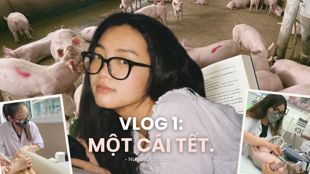 VLOG #1: Một Cái Tết, Và Một Năm Mình Lớn Hơn | 2024 ᓚ₍ ^. .^₎ ✧