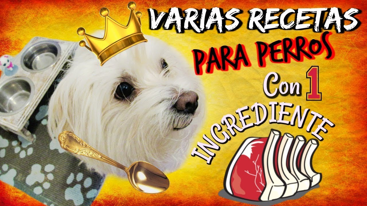 Recetas para Perros con 1 INGREDIENTE, Coton de Tulear I Lorentix