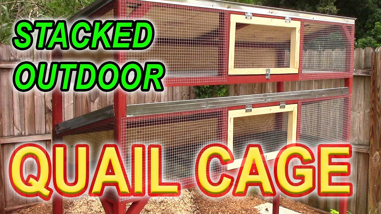 STACKED COTURNIX QUAIL CAGE - How to build an outdoor stacked quail cage