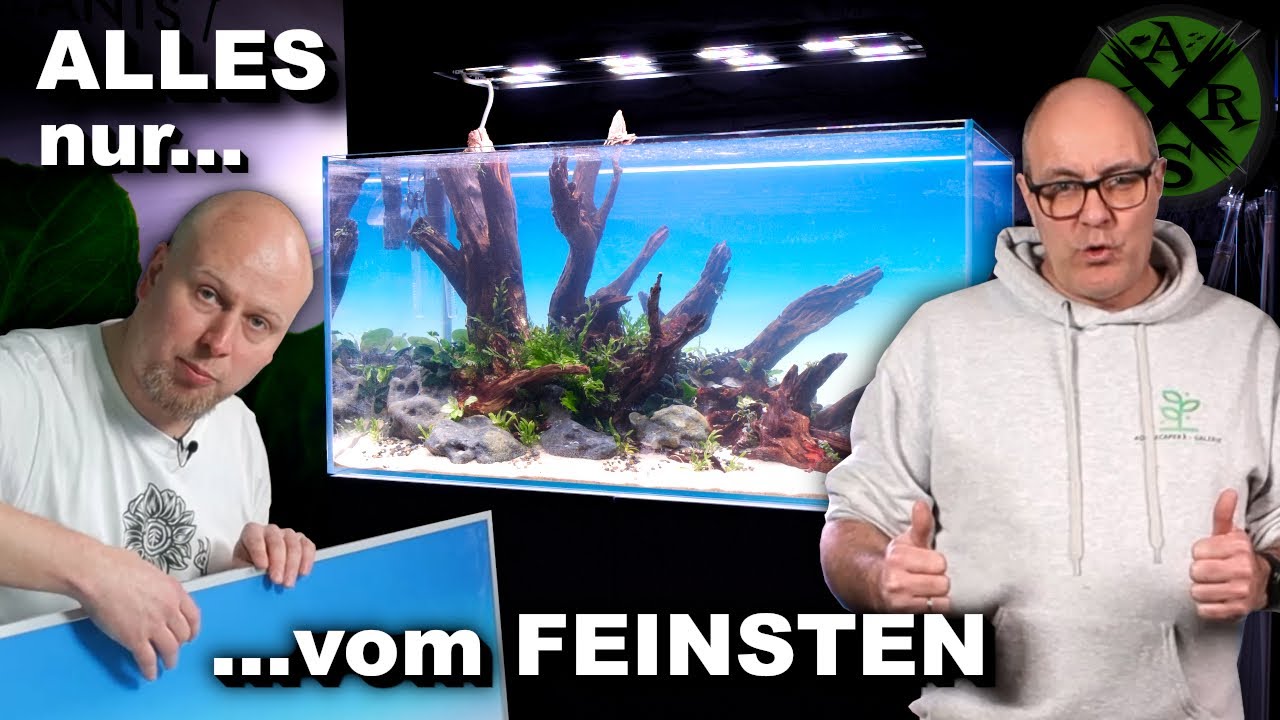 Nature AQUARIUM mit High End Technik | @Aquascapers Galerie