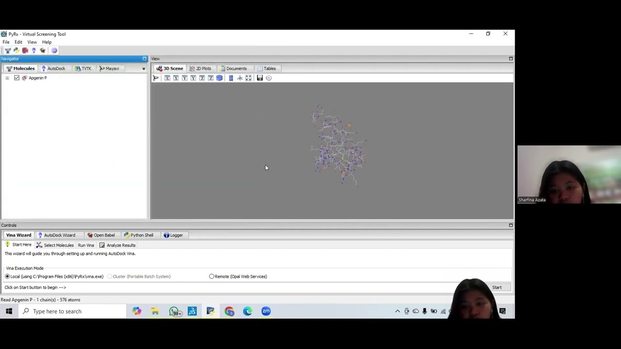 OLAH DATA MOLECULAR DOCKING | SHARFINA AZATA ISMA_26040124140177 | IK D_KEL 1