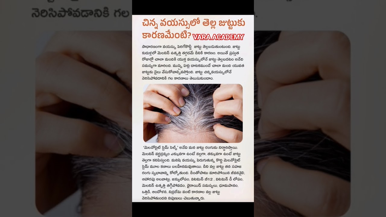 Reason for White Hair? || Vara Academy #varaacademy #telugustorytelling #telugu,#whitehairproblem