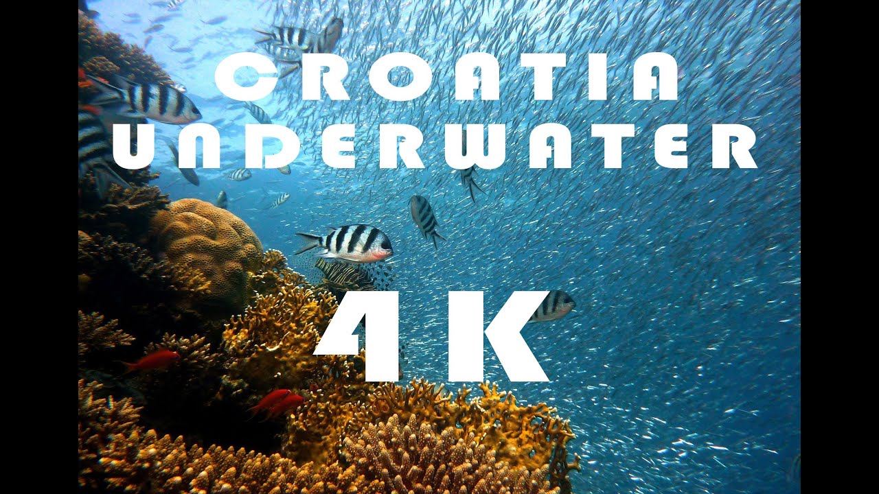 Underwater Croatia Dugi Otok- Relaxing underwater video 4K