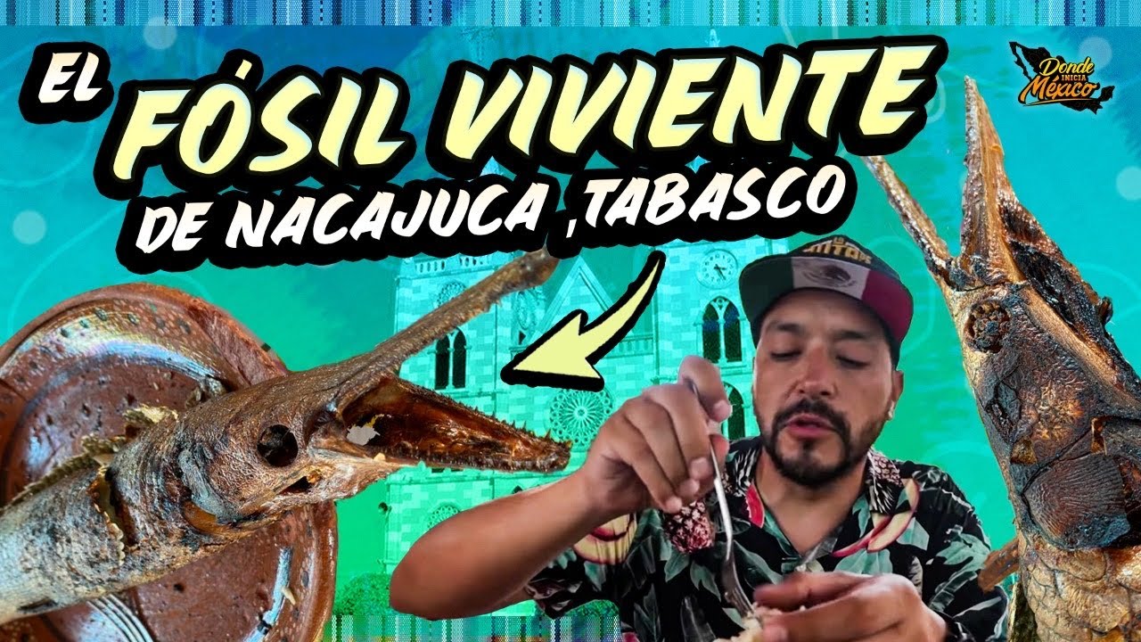 Sobre la Carretera comimos EL FOSIL VIVIENTE de Nacajuca, TABASCO