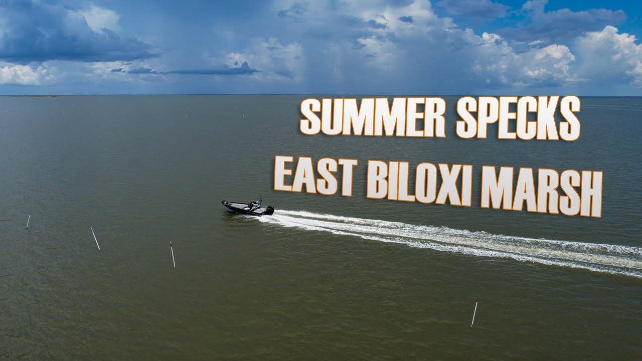 Catching Summer Speckled Trout in Louisiana's East Biloxi Marsh