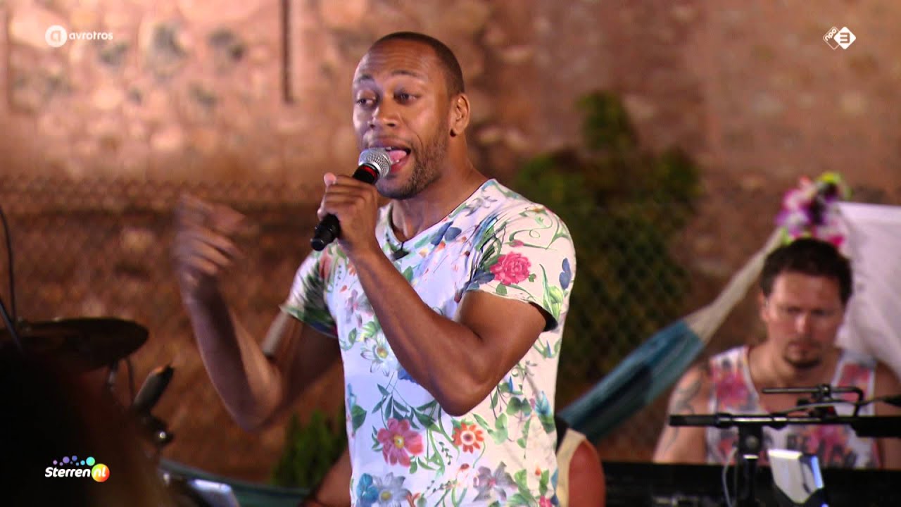 Michael Bryan - All night long - De Zomer Voorbij 2015