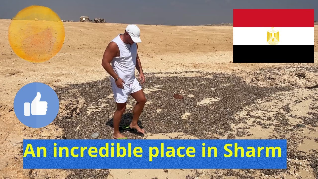 I Discovered the Most Stunning Place in Sharm El Sheikh!
