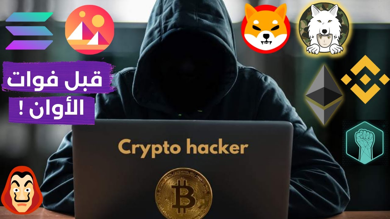 كيف تحمي عملاتك الرقمية من السرقة و الإختراق. الأمر خطير جدا