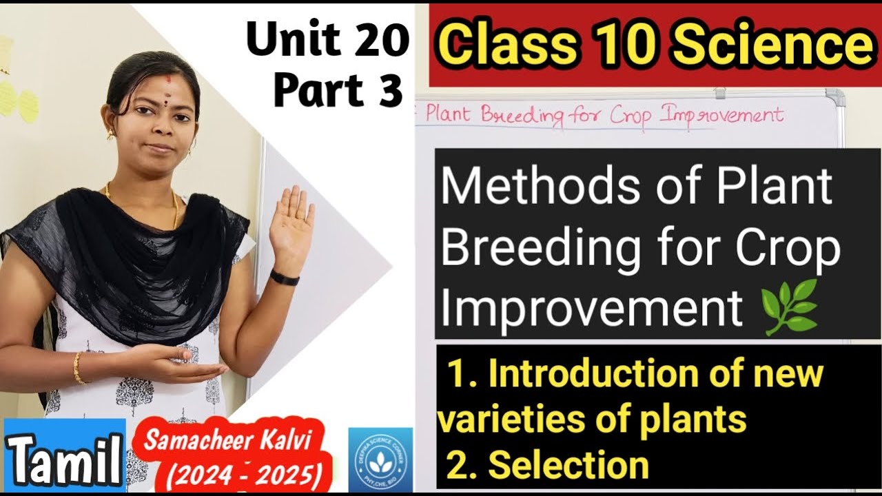 Methods of plant Breeding for Crop Improvement| Class 10 Science Unit 20 Breeding and Biotechnology