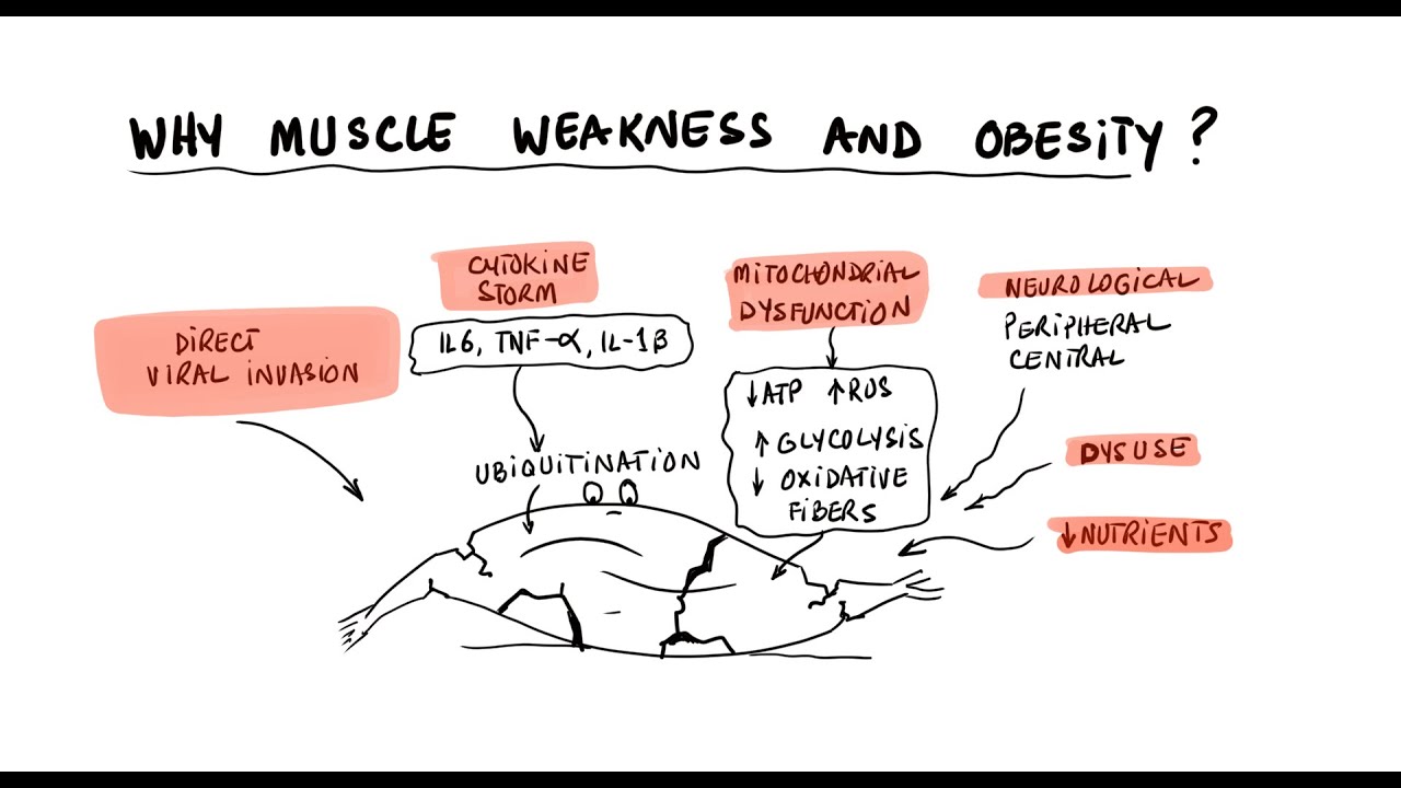 Long COVID Fatigue, Muscle Pain. and Fat Gain? Let's Fix it!