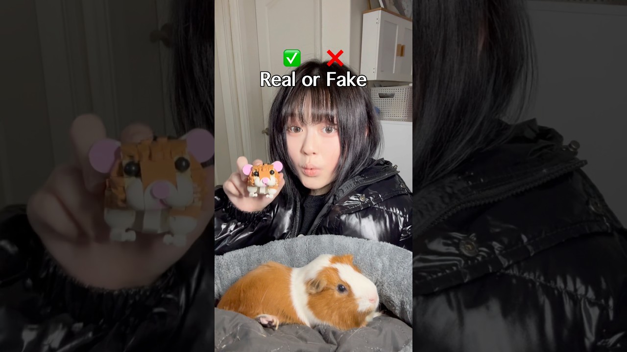 Real&nbsp;or&nbsp;Fake?🐹&nbsp;#asmr&nbsp;#shorts