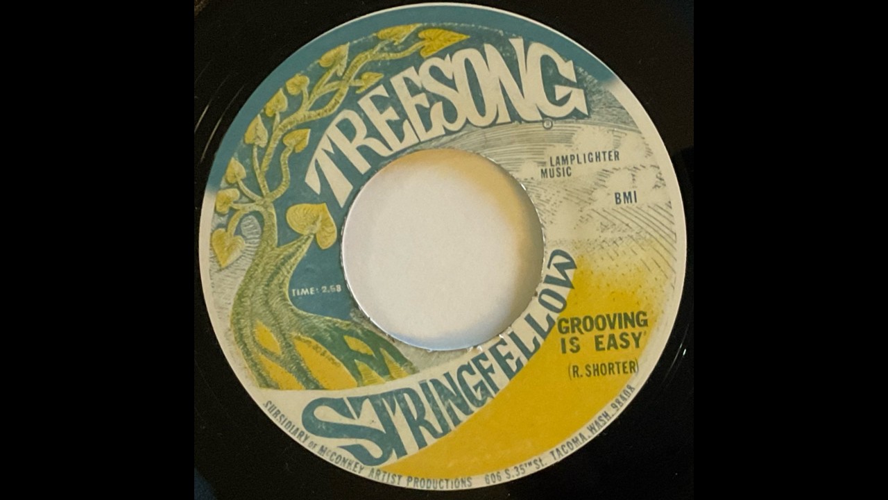 Stringfellow 