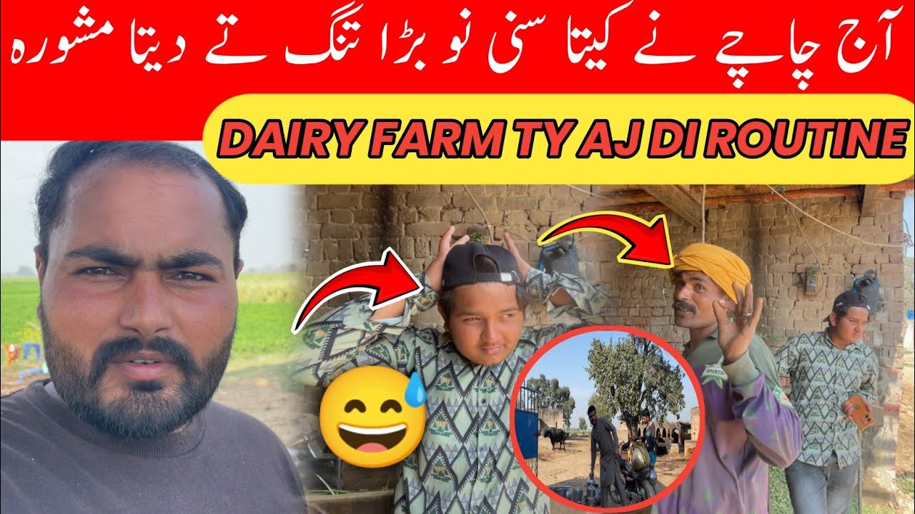 Dairy Farm Ty Aj Di Routine | Chache Ny Laya Sunny Nal Shugal Mela 😅 | Parandy Da Mashwara 😂