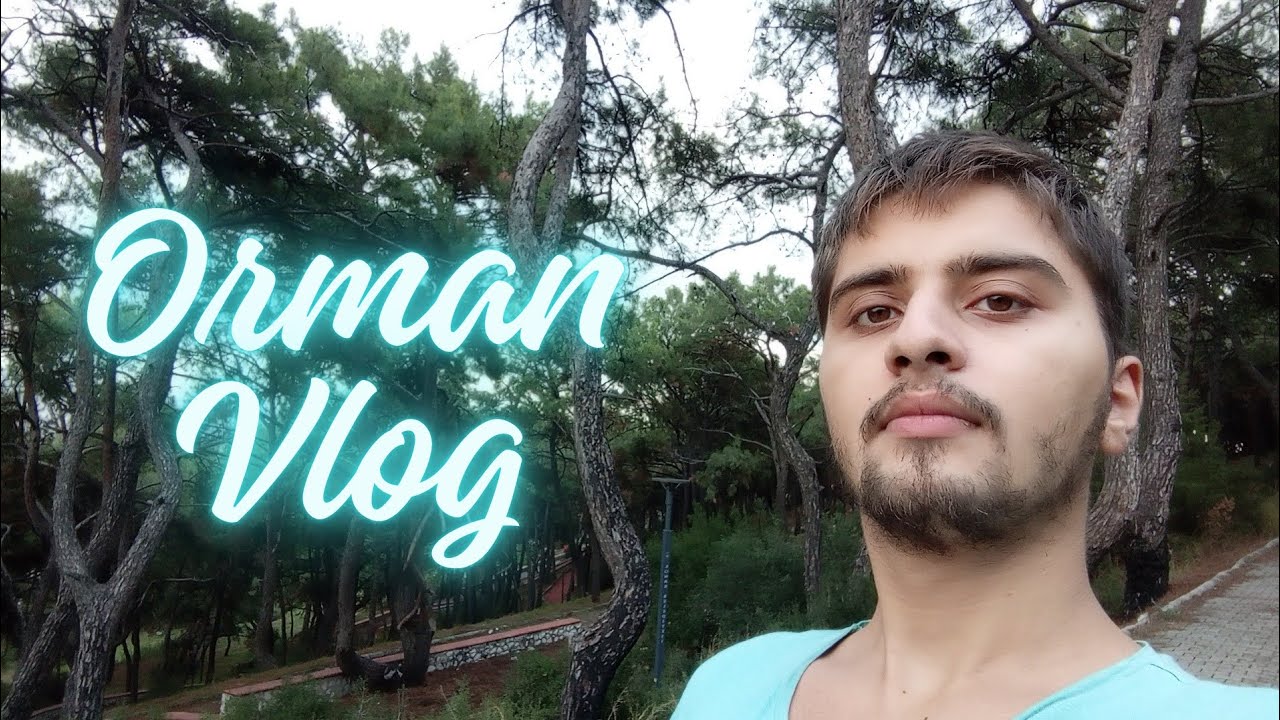 Orman Vlog / Çınartepe Ormanı