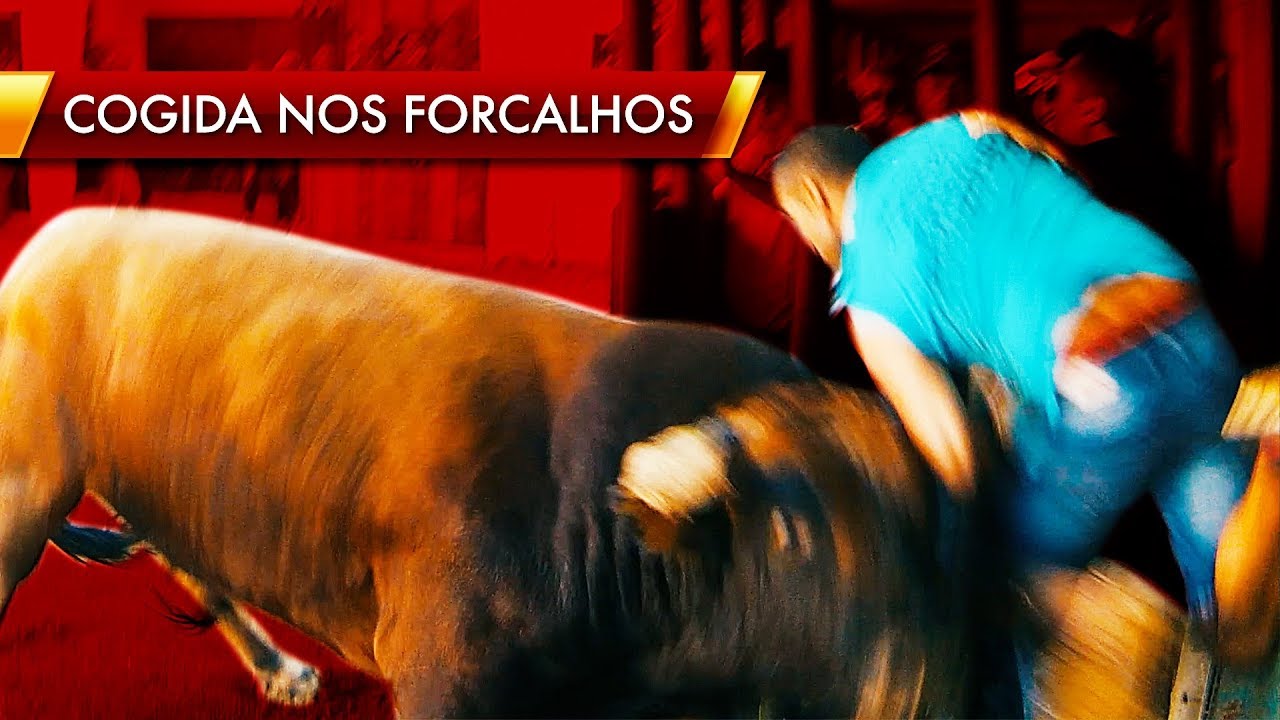 Cogida por um Toiro a entrar no salva-vidas ~ Forcalhos 2015