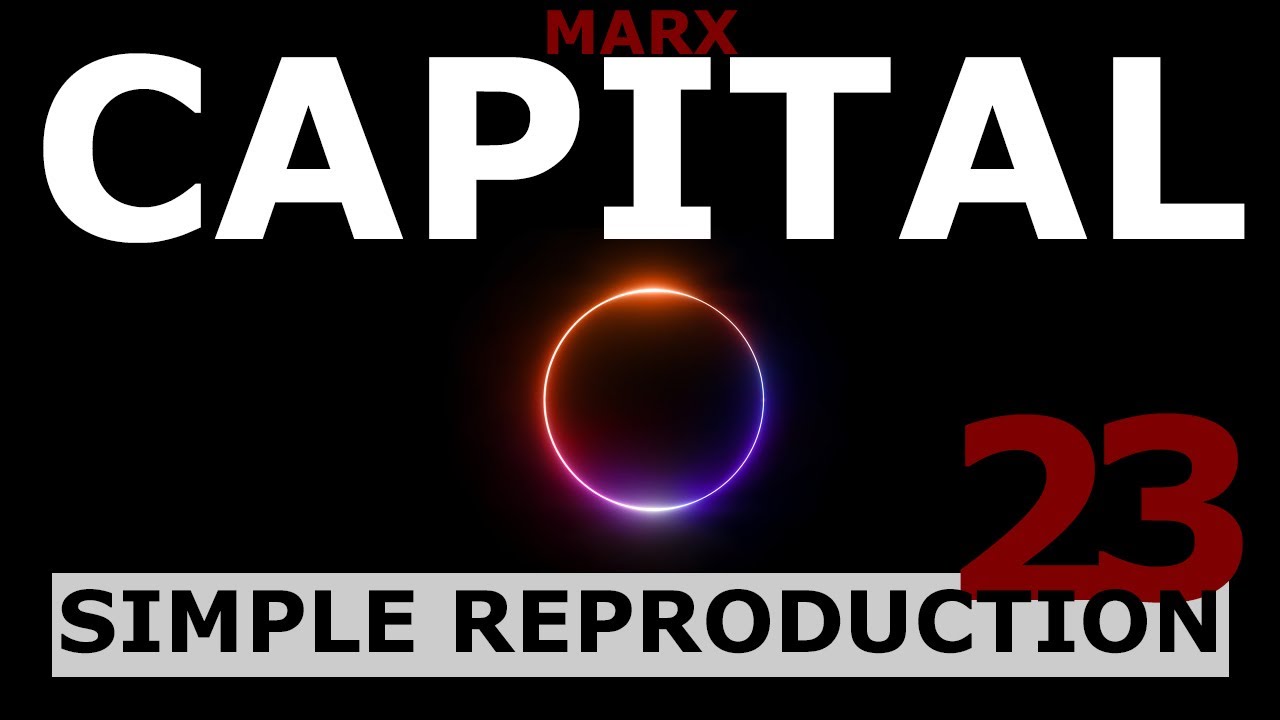Understanding Marx's Capital Volume 1 Chapter 23 - Simple Reproduction