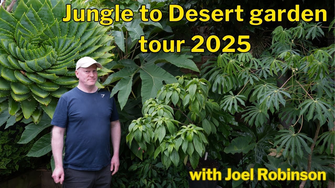 Back to Brighouse Exotic Garden 2025
