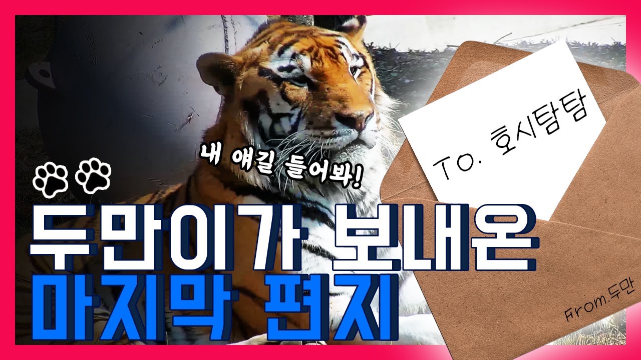 두만이가 여러분에게 보낸 마지막 편지!