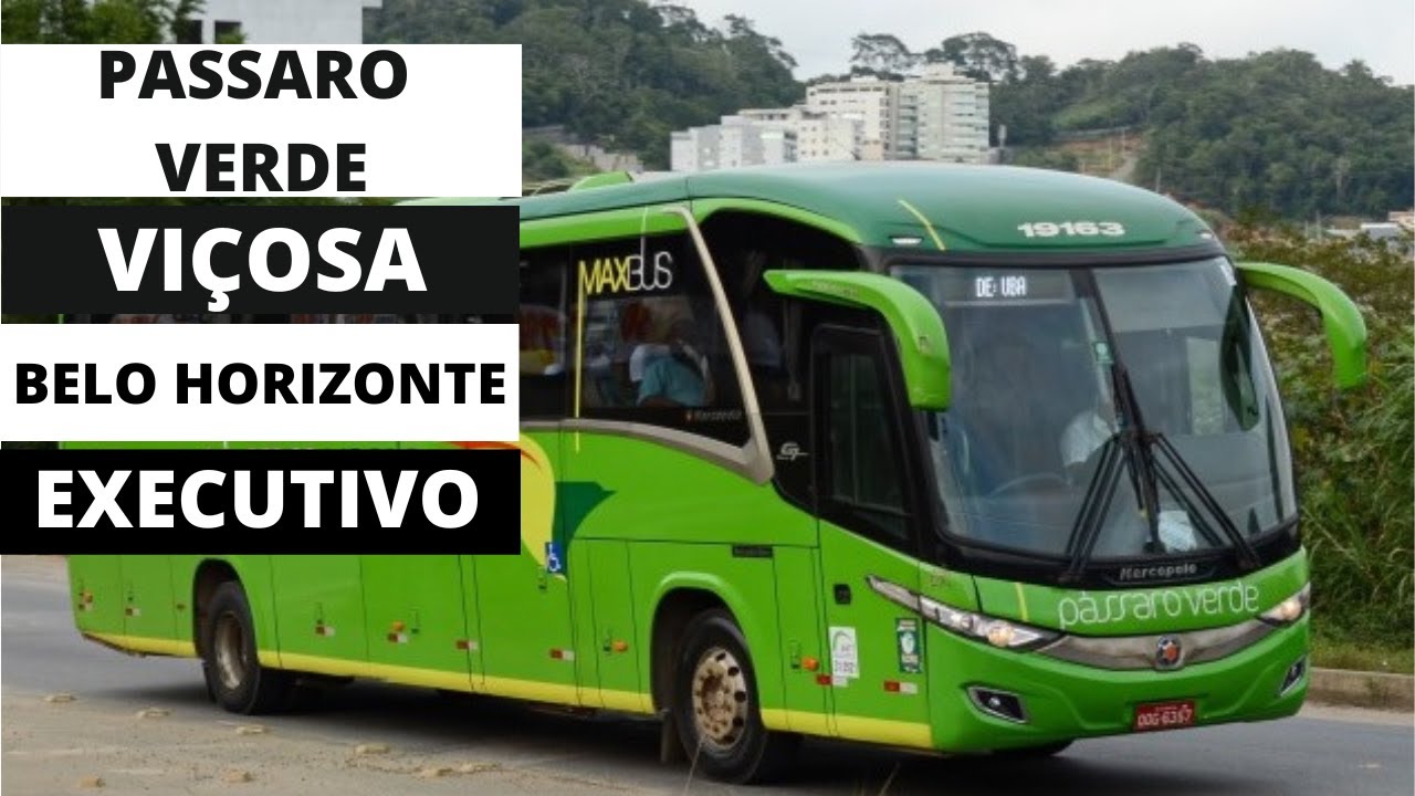 PASSARO VERDE DE VIÇOSA PARA BELO HORIZONTE