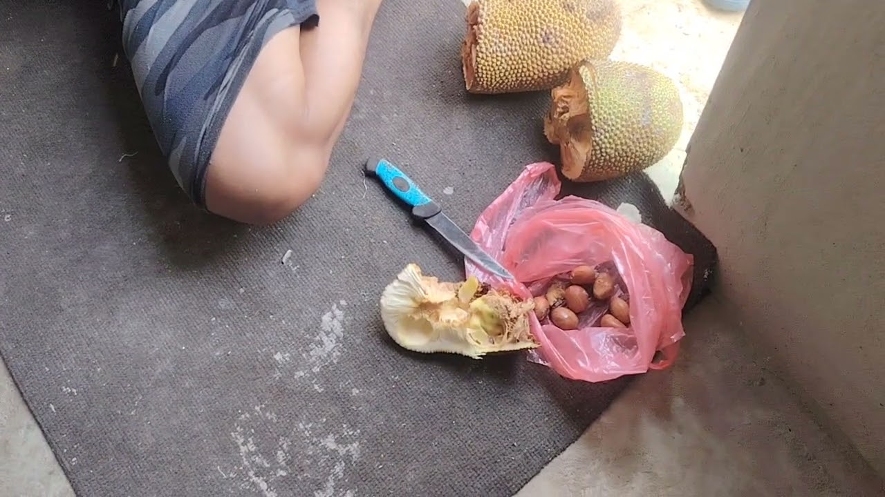 Lelak amai datai ngemuah sawit, alu makai buah temedak, 