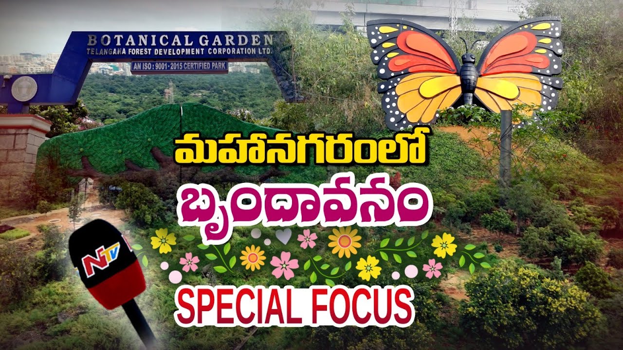 హైదరాబాద్⁬లో అద్భుతమైన రిజర్వ్ ఫారెస్ట్.. | Botanical Gardens | Special Focus | Ntv