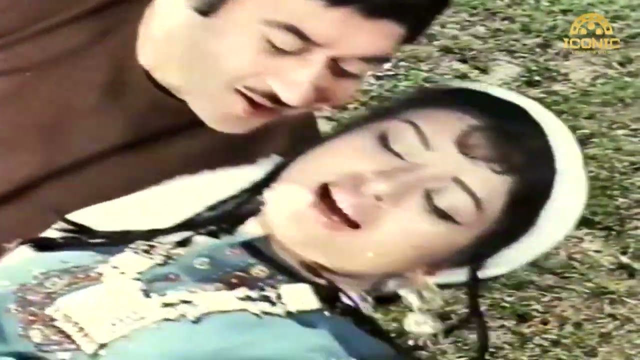 AA RE AA RE DIL KE SAHARAY - NOOR JEHAN & MUJEEB ALAM - FILM DOSTI