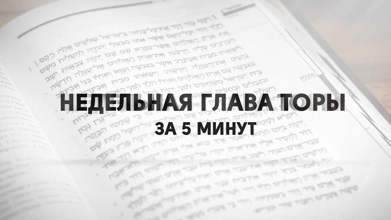 Глава 