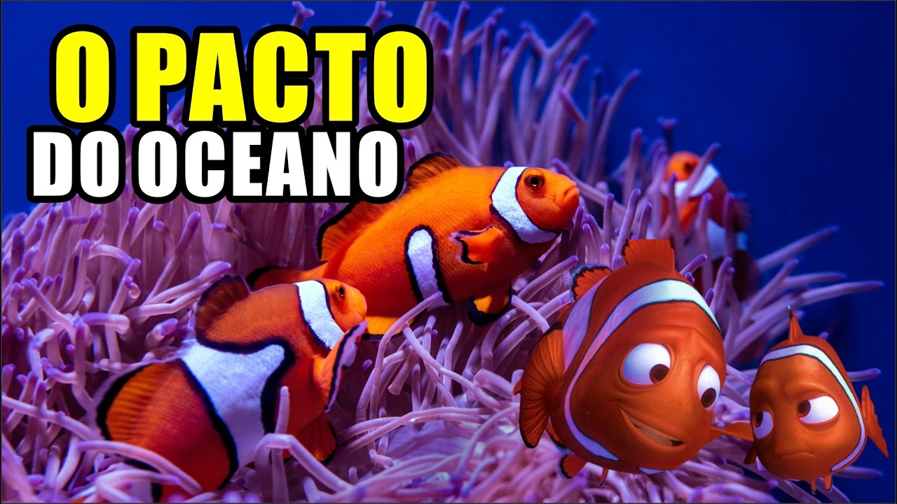 O PEIXE PALHAÇO E A ANÊMONA - O fascinante mundo do Peixe Palhaço e sua relação simbiótica com...