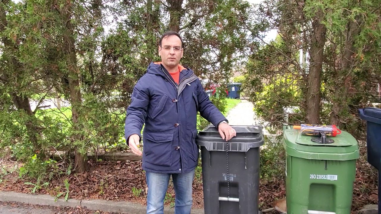 How to raccoon proof your garbage bin - cheap and easy