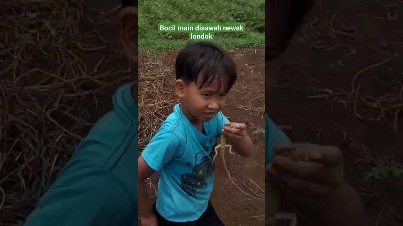 Bocil main disawah newak londok