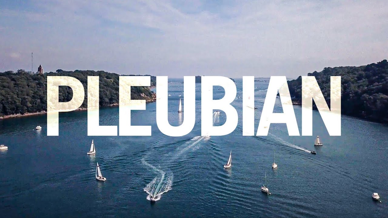 PLEUBIAN // 2020