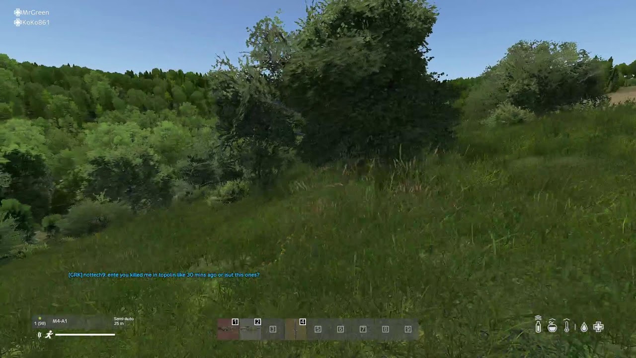 DaYz