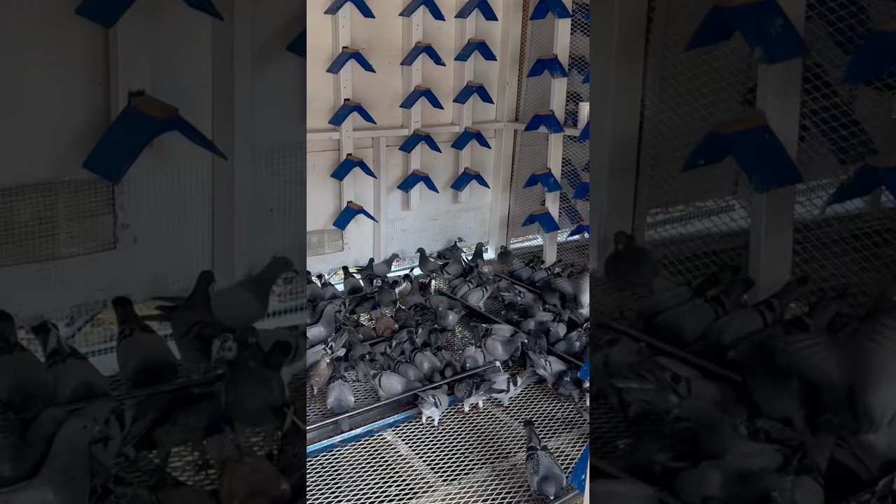 сосредоточьтесь на процессе  