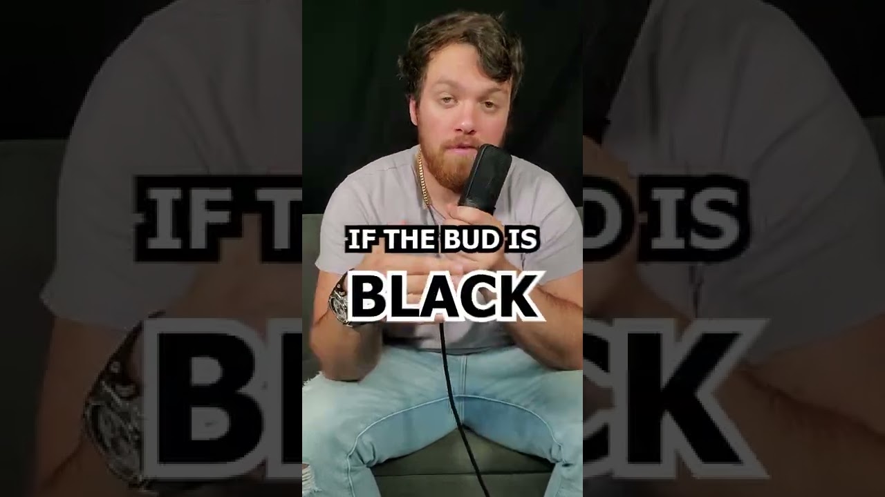 How to know if your Weed is TRASH 🗑 🤮