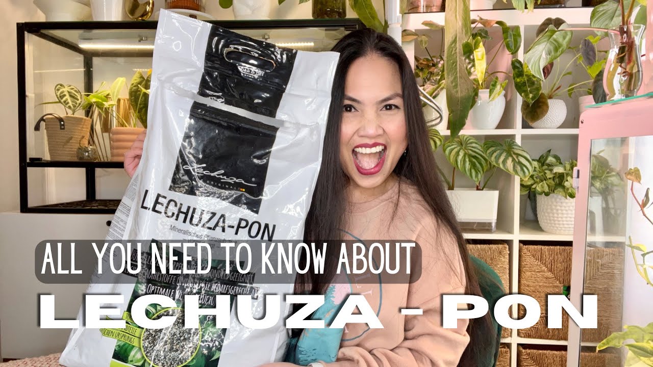 💚 Why I moved 200+ plants to LECHUZA-PON | Honest Review | Repotting different substrate to PON 💚