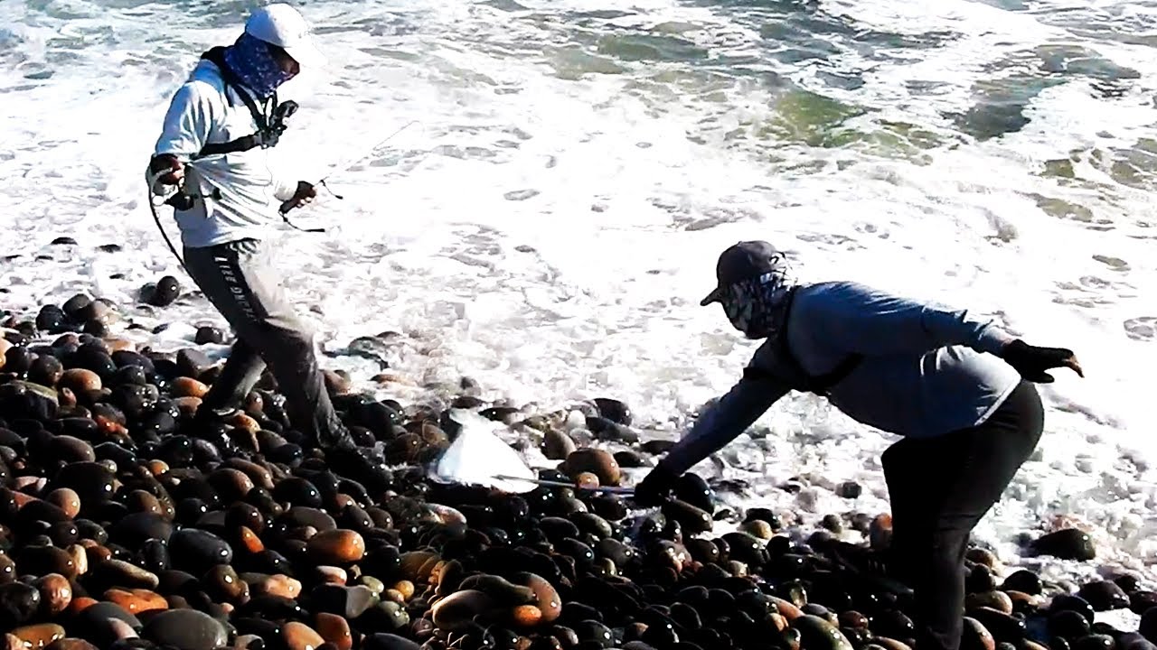 INSTANTES &Uacute;NICOS DE PESCA jam&aacute;s visto en video: LENGUADOS